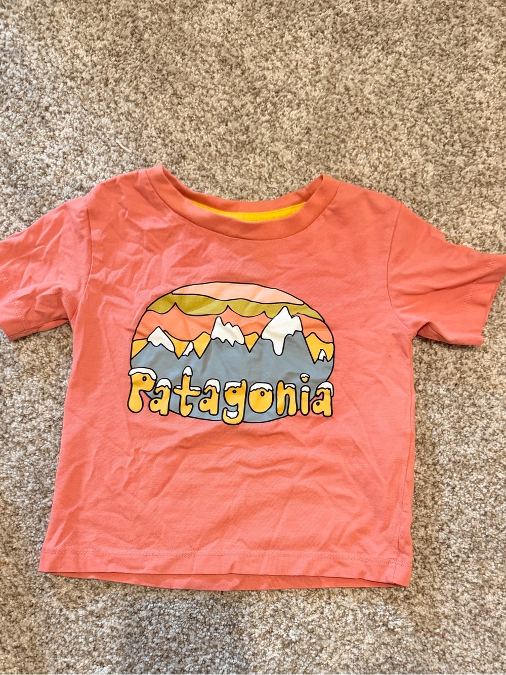 Patagonia 12-18m tshirt